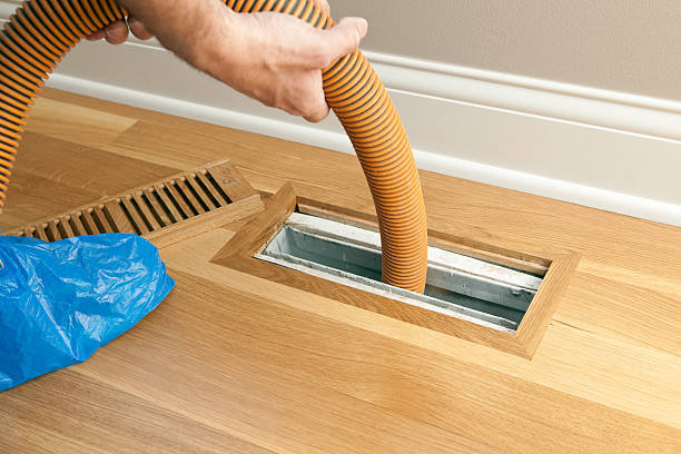 Best Commercial Air Duct Cleaning  in Rolla, ND
